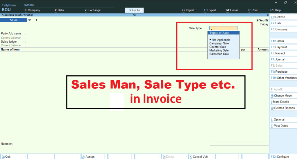 Sales Man and Voucher Type List in Tally Prime